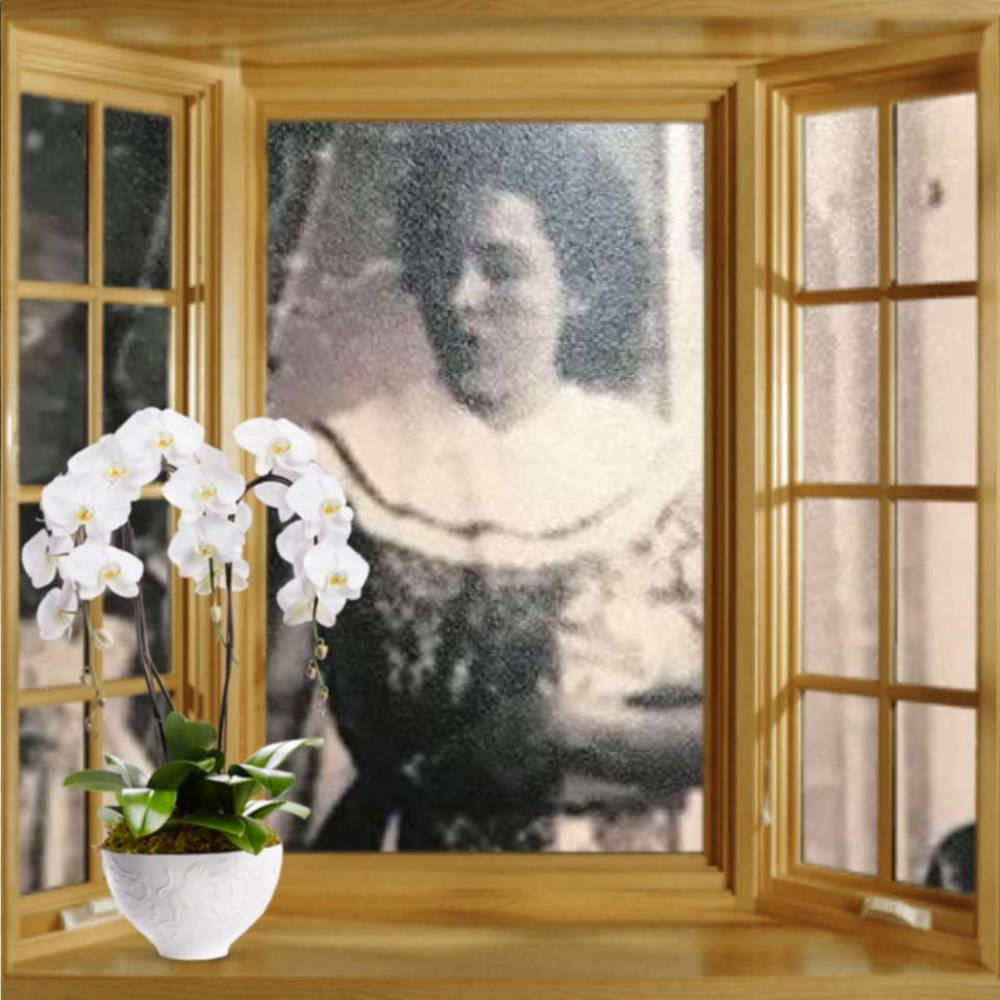 Meet your Posher, Patricia